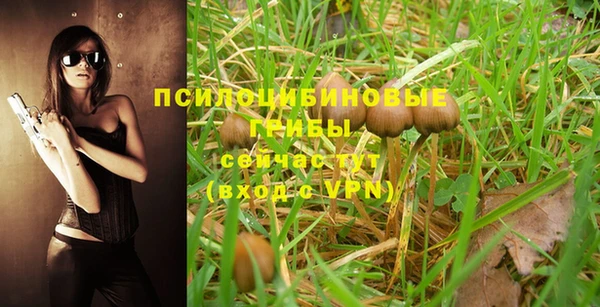 ALPHA PVP Протвино