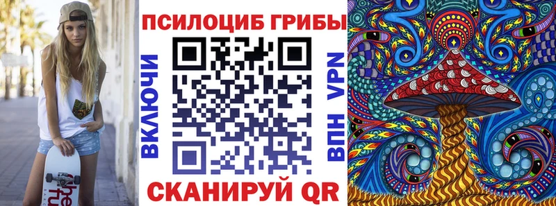 Псилоцибиновые грибы Psilocybine cubensis  Купить где  Пучеж 